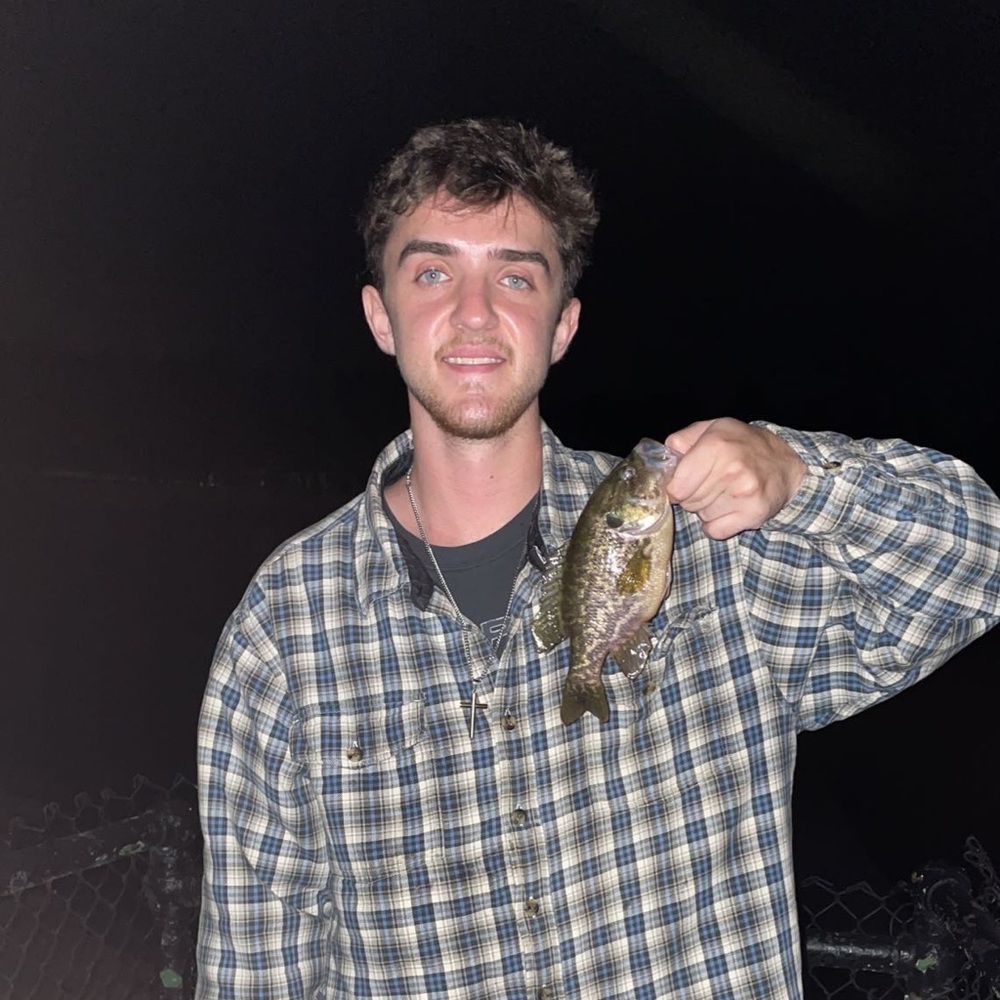Meet your Posher, Warren